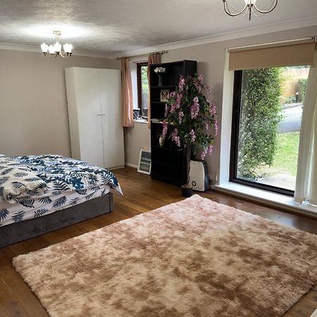 Stunning 2 Bedroom With Garden Sleep 6 London Bagian luar foto